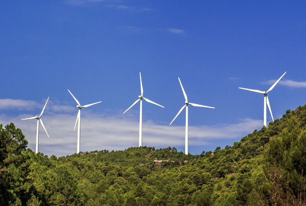 Gode råd i forbindelse med håndtering af energiafgifter