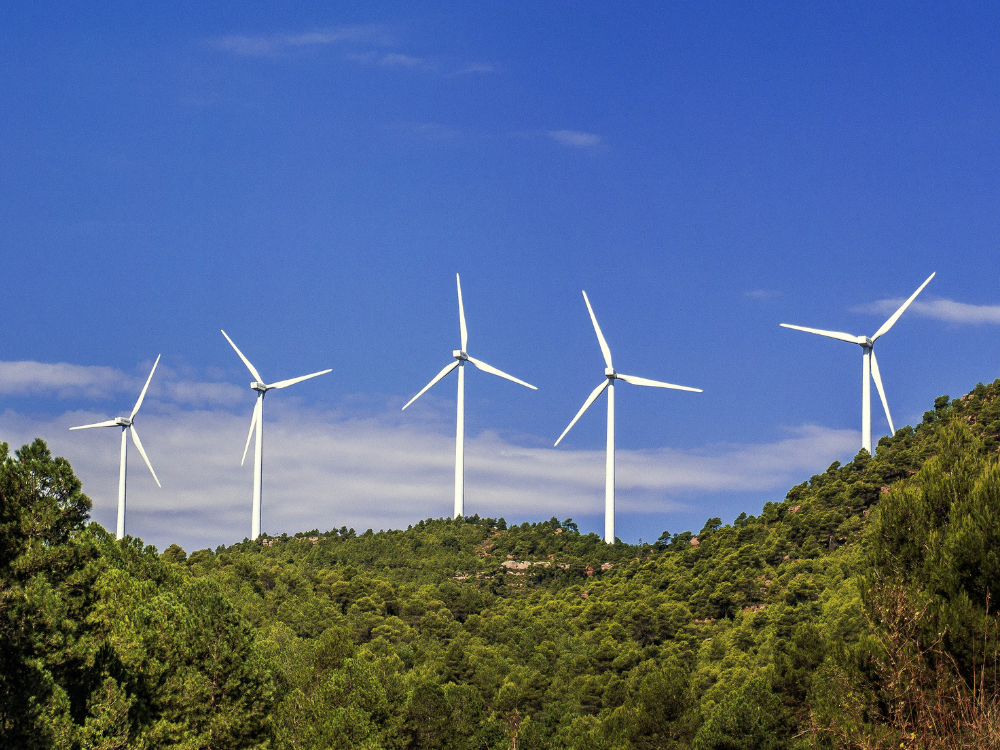 Gode råd i forbindelse med håndtering af energiafgifter